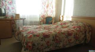 Гостиница AMAKS Отель Омск Омск Стандартный двухместный номер полутораспальной кроватью-2